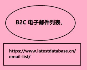 B2C 电子邮件列表