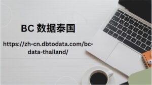 BC 数据泰国