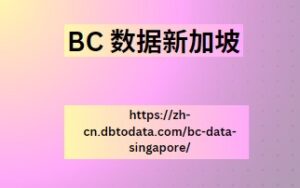 BC 数据新加坡